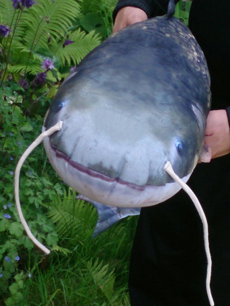 Fish Pillow THE WELS CATFISH Neck Pillow Animal Pillow Relax Etsy