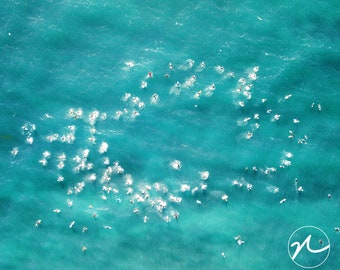 Paddle for Peace Splash