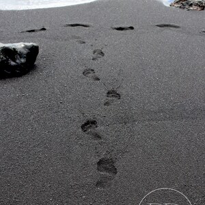 Maui Footsteps