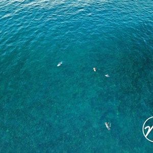 Hawaii Surf