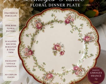 Haviland Limoge 72 variation dinner plate