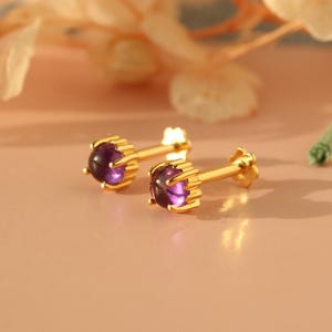Może przedstawiać: Para złotych kolczyków sztyftów z okrągłymi, fioletowymi kamieniami szlachetnymi. Kolczyki mają złote oprawki i są prezentowane na różowej powierzchni, z suszonymi kwiatami w tle. Kolczyki są małe i delikatne.