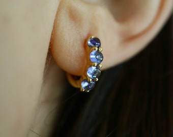 May include: Gold hoop earrings with a row of small, round, purple gemstones.