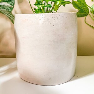 Op de afbeelding: Een witte keramische pot met een licht roze tint en een gespikkelde textuur. Een groene plant met bonte bladeren groeit in de pot.