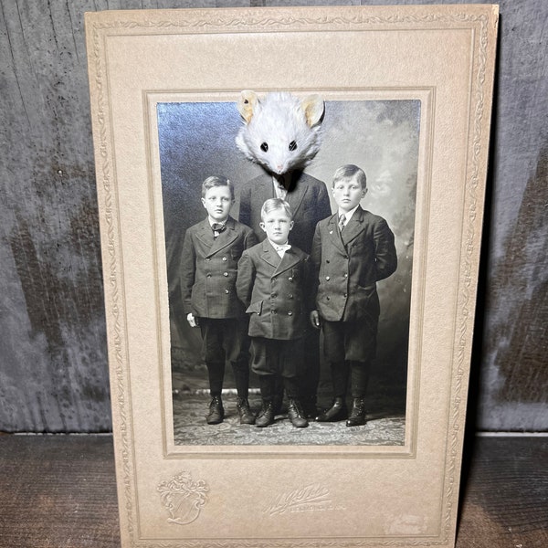 CUSTOM!! Taxidermy Mouse Portrait, Weird Taxidermy, Weird Gifts, Cabinet Card, Victorian Photo