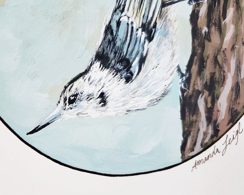 Ink Original White-Breasted Nuthatch Bird Illustration Painting Gouache 9x12