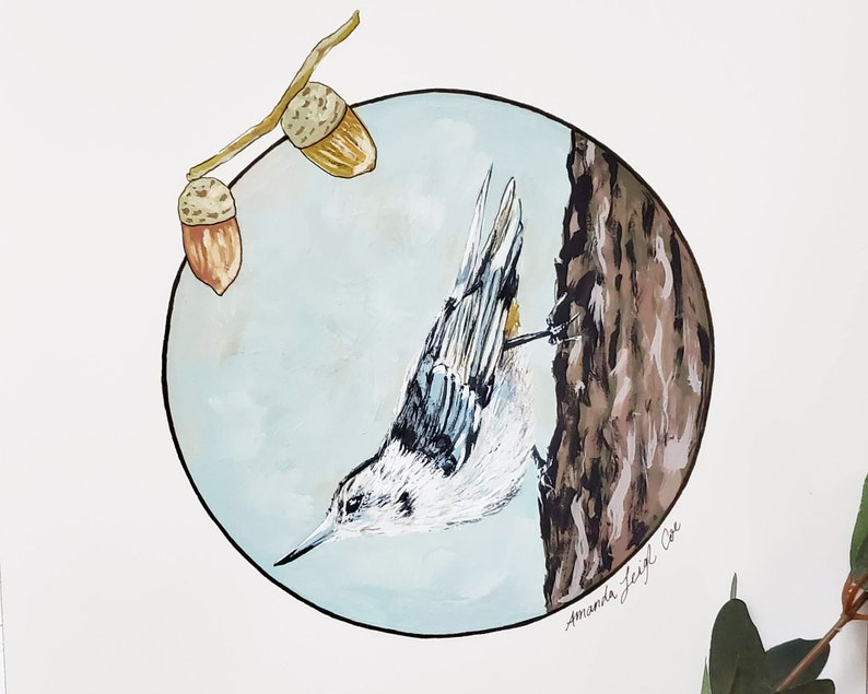 Ink Original White-Breasted Nuthatch Bird Illustration Painting Gouache 9x12