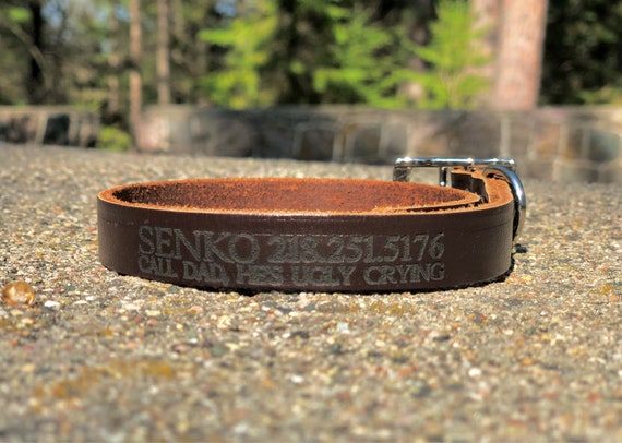 Tagless dog collar Clearance