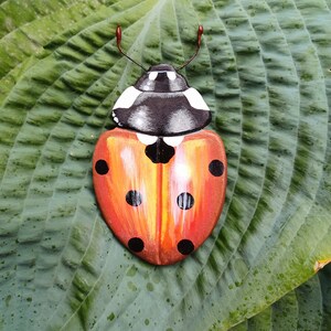 Ceramic ladybird wall decor