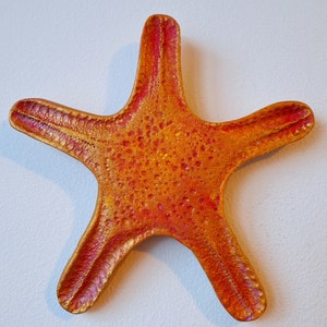 Ceramic starfish wall decor