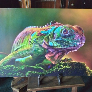 May include: A vibrant green, blue and purple iguana with a red eye, perched on a bed of green moss.