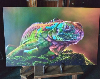 Colorful Chameleon Print: 16" x 26" Aluminum Poly-Metal Wall Art
