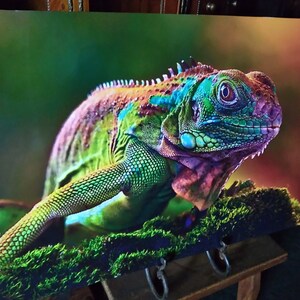 Colorful Chameleon Print: 16" x 26" Aluminum Poly-Metal Wall Art image 3