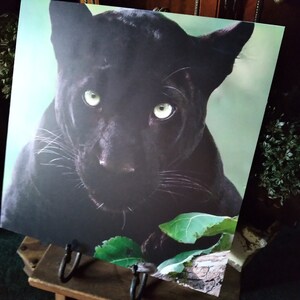 May include: A square print depicting a close-up of a black panther's face with striking green eyes. The panther's dark fur contrasts with the light green background. The print is displayed on a wooden easel.