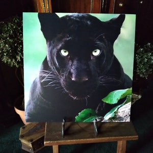 May include: A square print depicting a black panther with striking green eyes. The panther's dark fur is set against a light green backdrop and some green leaves. The print is displayed on a small wooden easel.