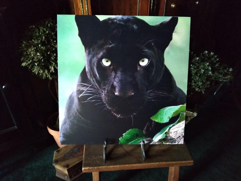 May include: A square print depicting a black panther with striking green eyes. The panther's dark fur is set against a light green backdrop and some green leaves. The print is displayed on a small wooden easel.