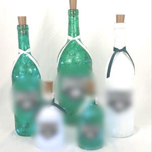 Philadelphia Eagles Lighted Bottles- VIEW ALL PICS-ships  in 1 day-Eagles lightup bottles-Philadelphia Eagles Gift- Eagles bottles w lights