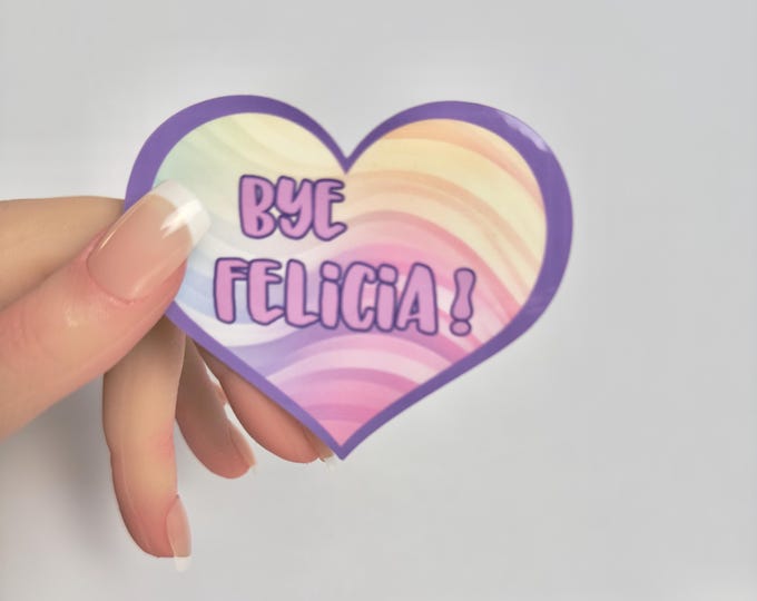 Sarcastic Funny sticker-Bye Felicia-pastel rainbow vinyl glossy-Funny Sarcastic sticker-water bottle sticker-laptop sticker phone sticker