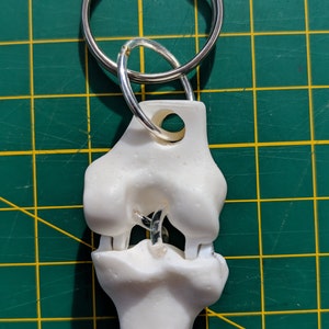 Anatomical Knee Joint Key ring Keychain Femur Tibia Ligaments Medicine Medical Anatomy Doctor Orthopedic Student Gift image 3