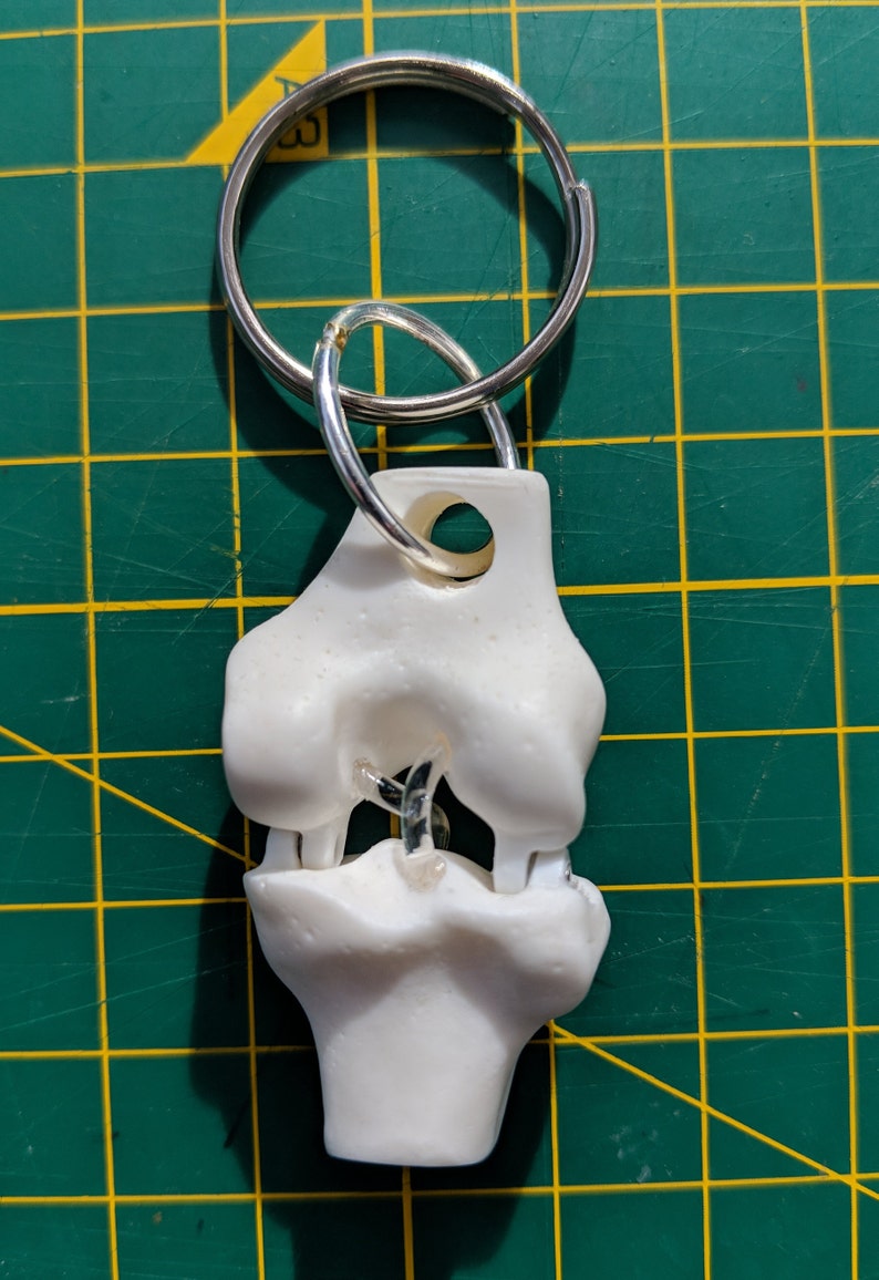 Anatomical Knee Joint Key ring Keychain Femur Tibia Ligaments Medicine Medical Anatomy Doctor Orthopedic Student Gift image 3