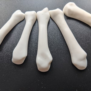May include: Five white plastic bones arranged in a semi-circle on a black surface.