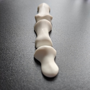 Thumb bone fridge magnets | anatomical | anatomy | hand | bone | medicine | medical | doctor | student | gift | physical therapy