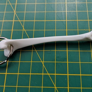 May include: A white bone-shaped keyring with a silver metal ring. The bone has a detailed anatomical shape and is set against a green cutting mat with yellow grid lines. A unique accessory.