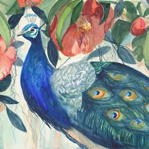 Camellia flower and Peacock watercolor giclee print featuring camellia Japonica Rev John Bennett.  Multiple sizes available.