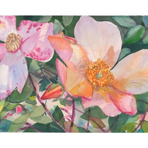 May include: Watercolor painting of pink and peach roses with green leaves. The roses are in bloom and have a delicate, feminine feel.