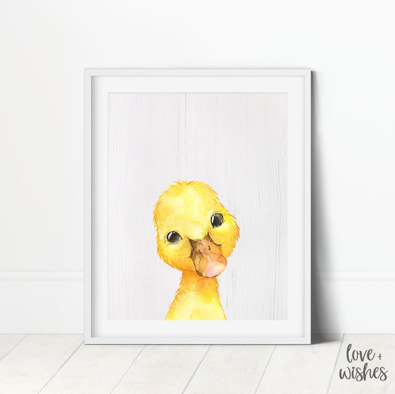 Duck Print Duck Nursery Art Duck Room Decor Baby Animals Etsy