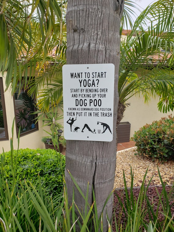 How Do You Pick Up Dog Poop Without Bending Over