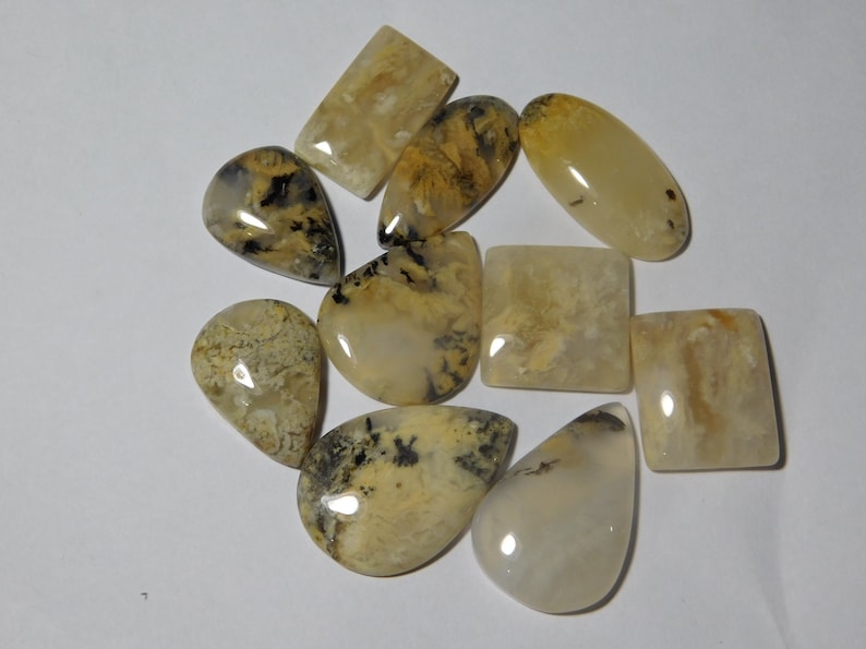 10 Pcs Natural Tiger Dendritic Agate Lot Tiger Dendritic Agate Cabochons Agate loose stone 162Cts. Tiger Dendritic Agate Gemstone