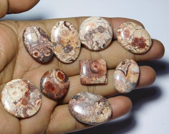 Bird Eye Jasper Stone Healing Loose Hand Polish 26X26X04 MM Valentine Gift Stone Rare Quality Bird Eye Jasper Gemstone Birth Stone US-3438