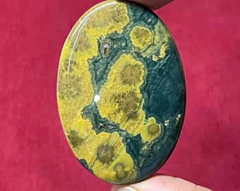 May include: Oval gemstone with a distinctive pattern of yellow and green shades. The polished surface of the stone displays a mix of colours and textures. The gemstone is held between two fingers.