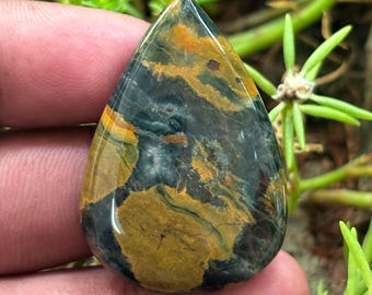 May include: A teardrop-shaped gemstone with a polished surface. The stone features a mix of dark blue, black, and golden-brown colors, with swirling patterns throughout. The gemstone is held in a person's hand, with green foliage in the background.