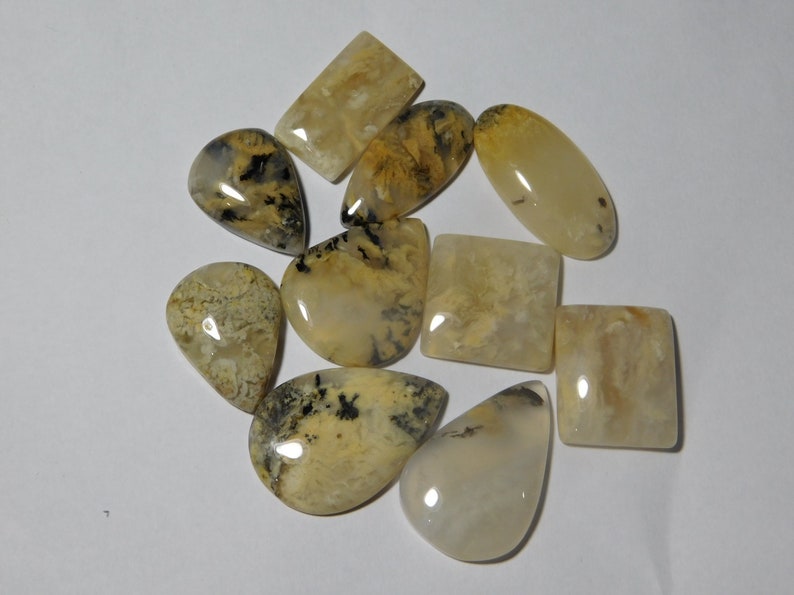 10 Pcs Natural Tiger Dendritic Agate Lot Tiger Dendritic Agate Cabochons Agate loose stone 162Cts. Tiger Dendritic Agate Gemstone