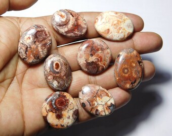 Bird Eye Jasper Stone Healing Loose Hand Polish 26X26X04 MM Valentine Gift Stone Rare Quality Bird Eye Jasper Gemstone Birth Stone US-3438