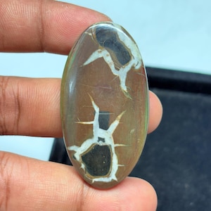 Black Septarian Cabochon: Dragon Stone Gemstone (53x28mm, 68Cts