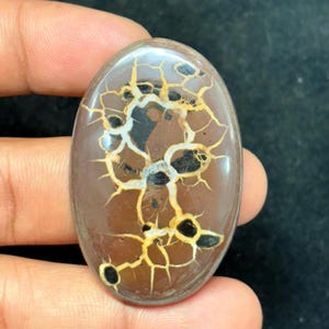 Black Septarian Cabochon: Natural Dragon Stone Gemstone (49x32mm, 90Cts.)