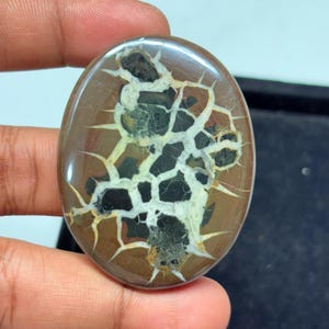 Black Septarian Cabochon: 153 Carat Dragon Stone (57x44mm)