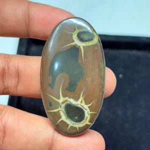 Black Septarian Cabochon: Natural Dragon Stone Gemstone (56X31mm, 102Cts.)