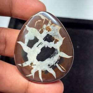 Black Septarian Cabochon: Natural Dragon Stone Gemstone (49x42mm, 130Cts.)