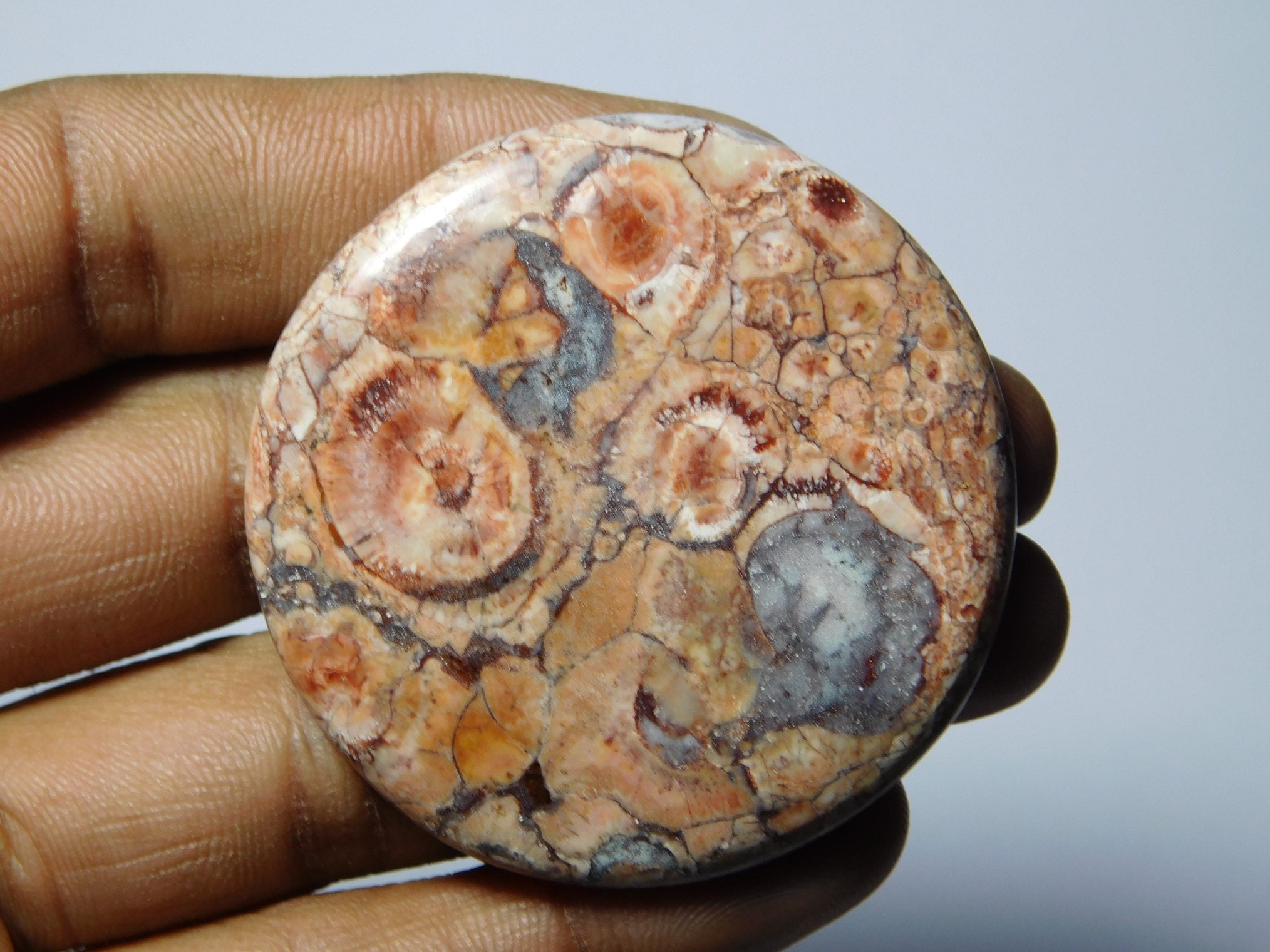 Bird Eye Jasperbird Eye Jasper Gemstonebird Eye Jasper Etsy