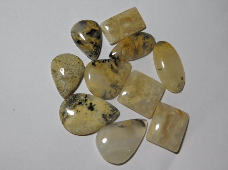 10 Pcs Natural Tiger Dendritic Agate Lot Tiger Dendritic Agate Cabochons Agate loose stone 162Cts. Tiger Dendritic Agate Gemstone