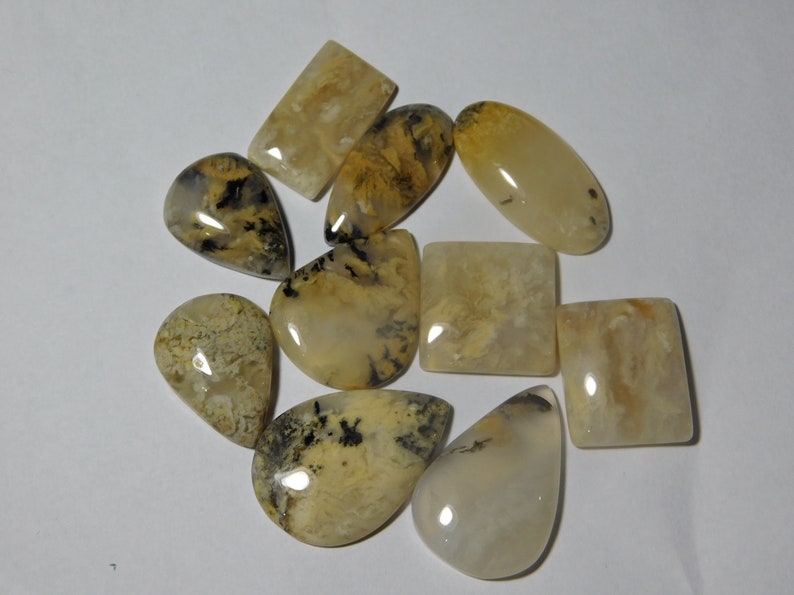 10 Pcs Natural Tiger Dendritic Agate Lot Tiger Dendritic Agate Cabochons Agate loose stone 162Cts. Tiger Dendritic Agate Gemstone