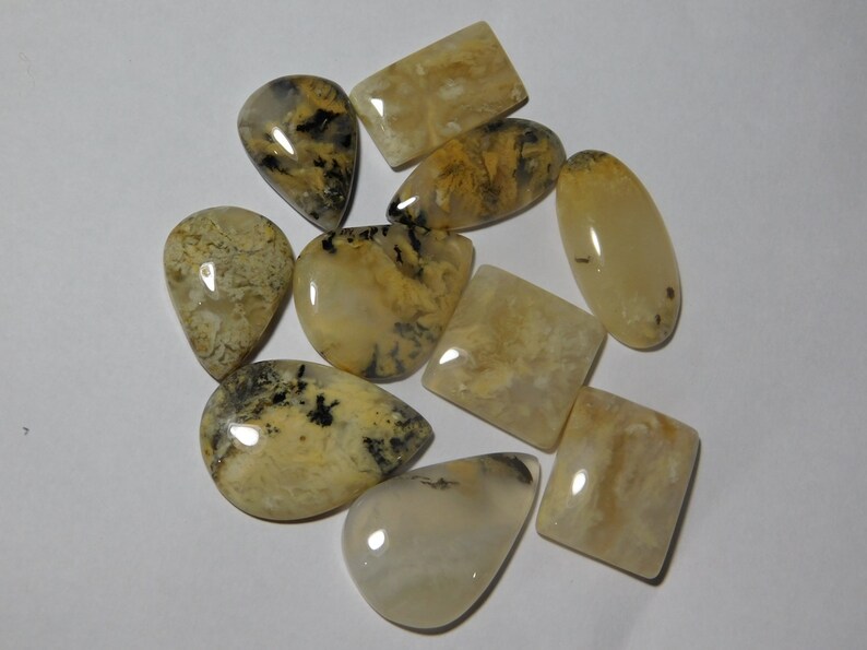 10 Pcs Natural Tiger Dendritic Agate Lot Tiger Dendritic Agate Cabochons Agate loose stone 162Cts. Tiger Dendritic Agate Gemstone