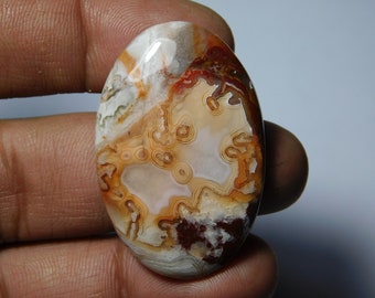 AAA+ Crazy Lace Agate Cabochons, Natural Crazy Lace Agate Loose Gemstone, Well Polished Crazy Lace Agate loose ston 58Cts.(41X27)mm