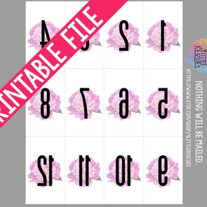 Printable: Pink Flowers Forward Reverse Live Sale Facebook Numbers 1-600 | PDF Digital Download | Mirror Image Backward LLR Paparazzi Flower