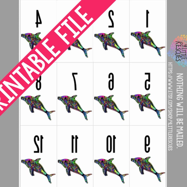 Paparazzi Numbers - Etsy