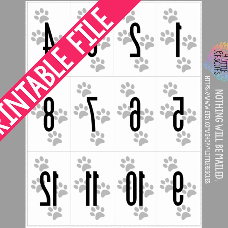 Paparazzi Numbers - Etsy